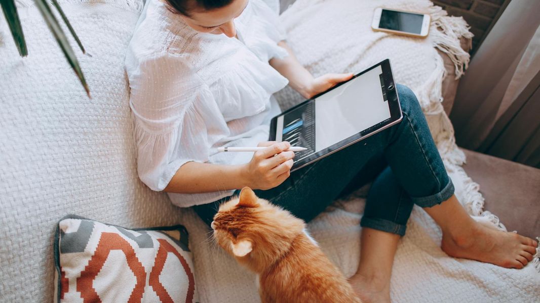 From above of crop unrecognizable young female freelancer sitting on sofa and working on graphics tablet near adorable curious cat at home