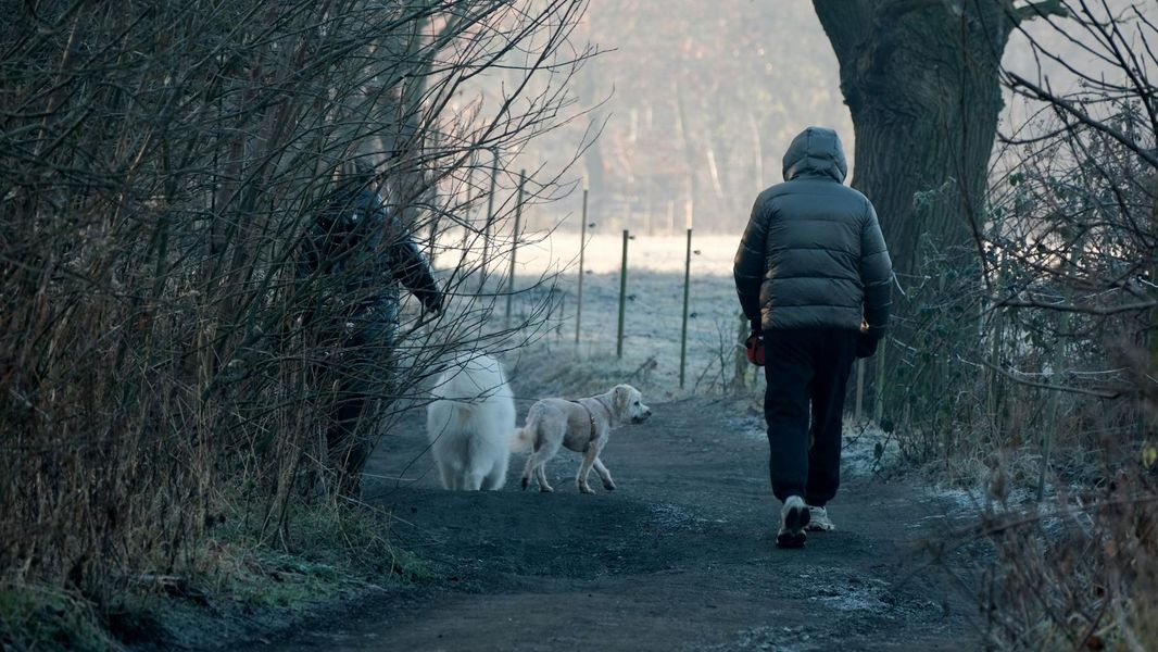 Two people walking dogs on a frosty winter path through the forest, capturing the serene atmosphere of a crisp winter morning.